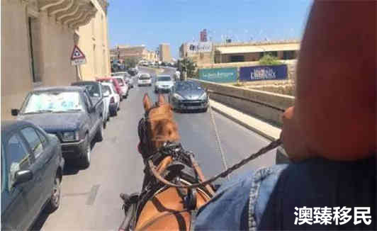 马耳他移民就是个坑,亲身经历奉劝各位定居海外别太匆忙2.jpg 马耳他移民就是个坑,亲身经历奉劝各位定居海外别太匆忙2.jpg