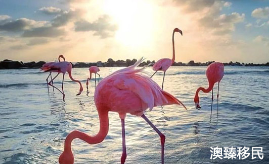 塞浦路斯旅游攻略,这些必打卡的冷门旅游地点强烈安利3.jpg 塞浦路斯旅游攻略,这些必打卡的冷门旅游地点强烈安利3.jpg